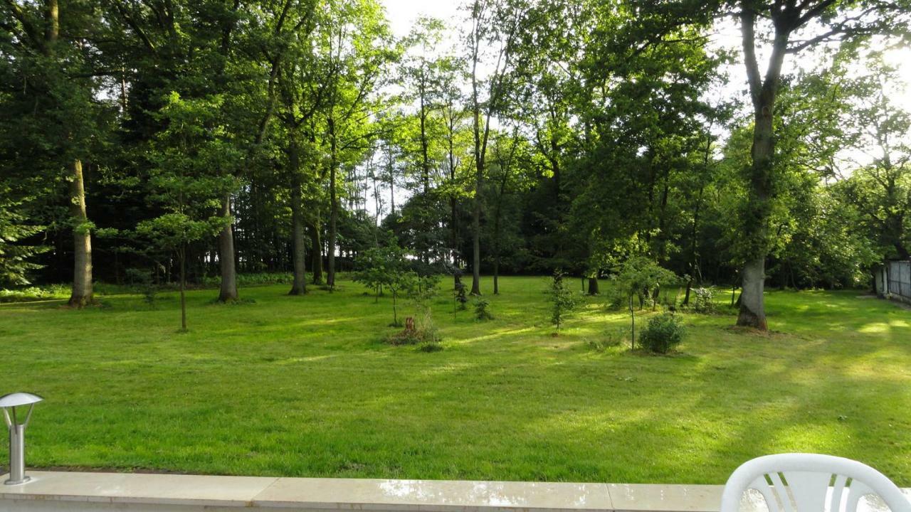 Ferienhaus Huus Ton Witten Barg Undeloh Exteriör bild